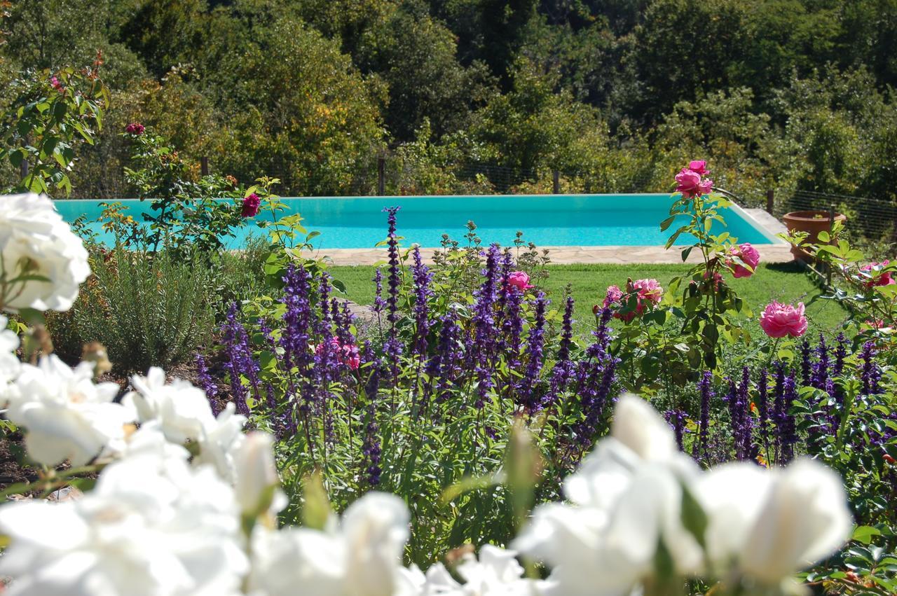 B&B Podere Il Colto Gaiole in Chianti Ngoại thất bức ảnh