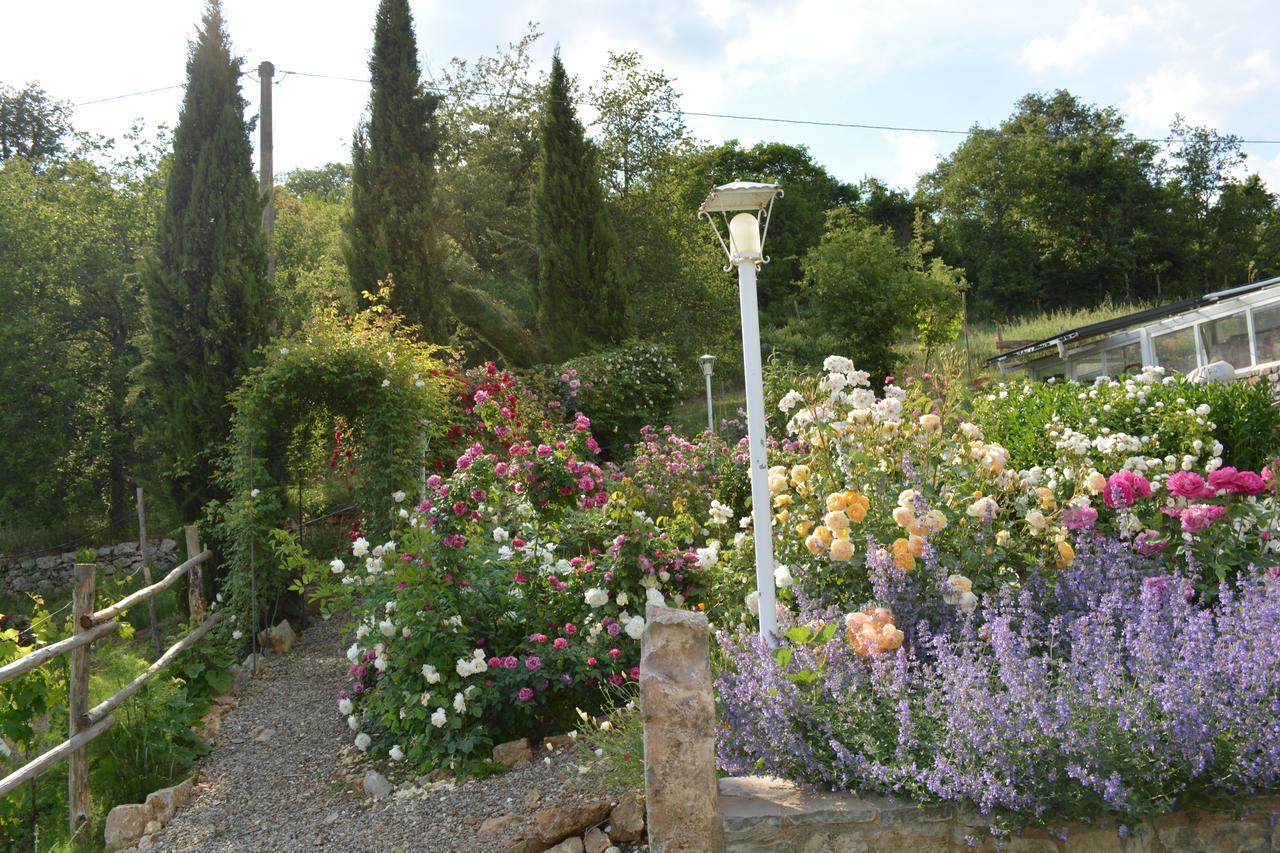 B&B Podere Il Colto Gaiole in Chianti Ngoại thất bức ảnh