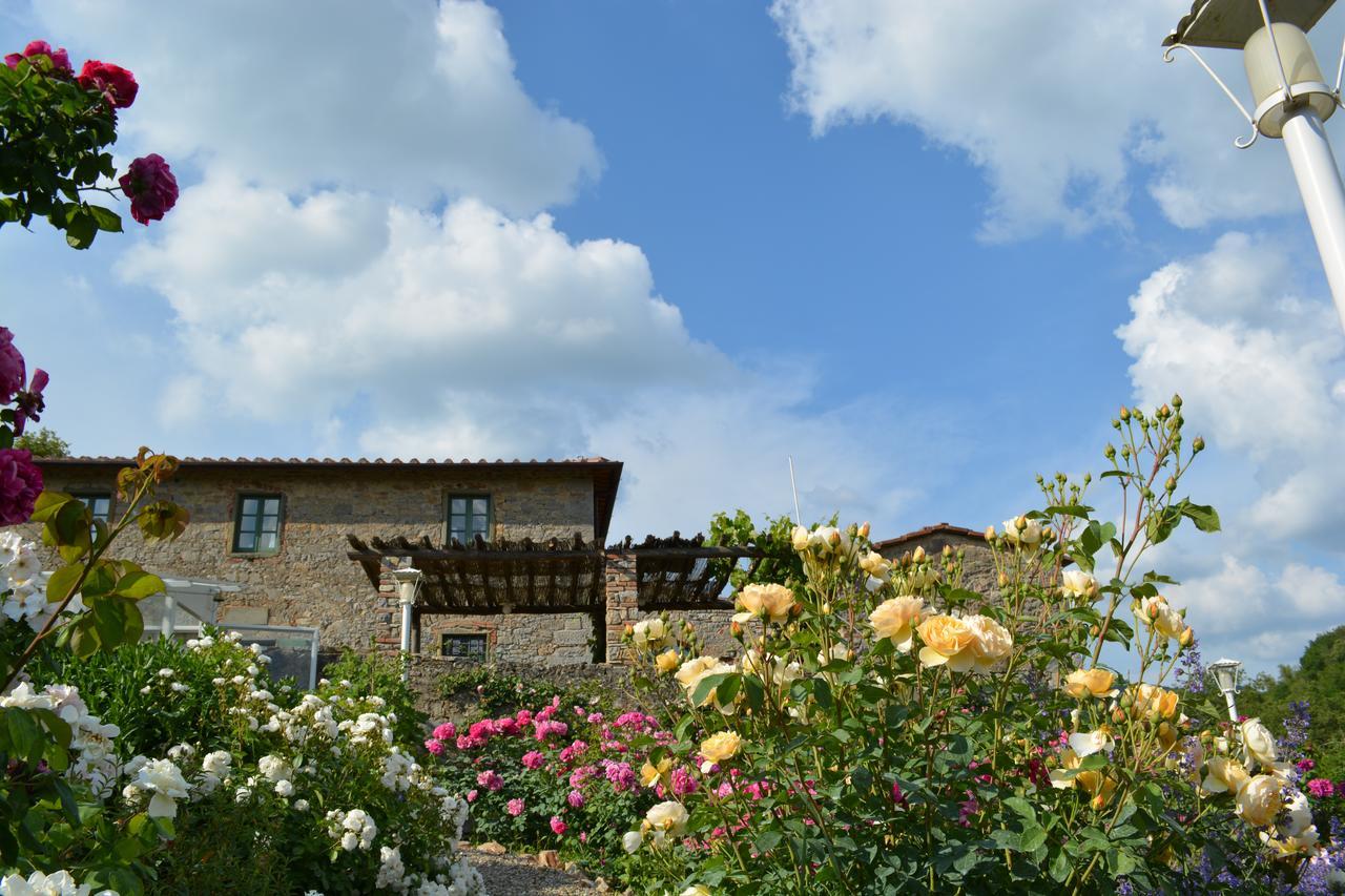 B&B Podere Il Colto Gaiole in Chianti Ngoại thất bức ảnh