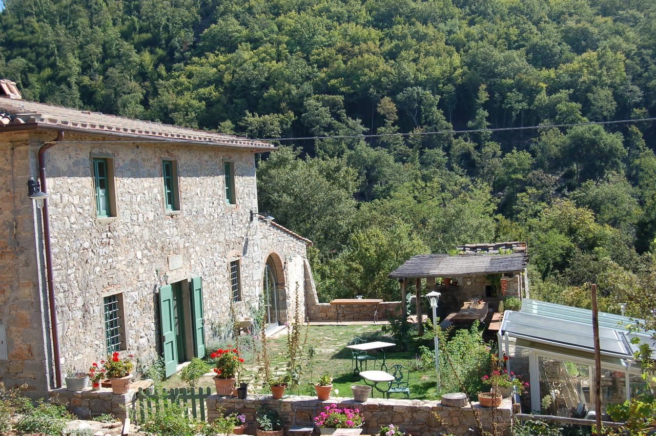 B&B Podere Il Colto Gaiole in Chianti Ngoại thất bức ảnh